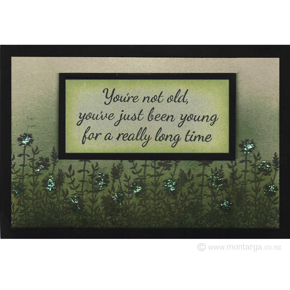 0217 FF - You're not old Wording Rubber Stamp