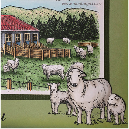 1243 E - Sheep and Lambs Rubber Stamp