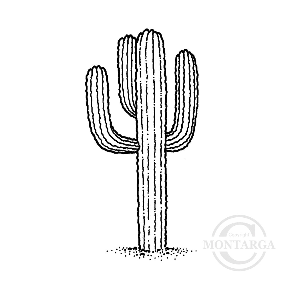 0601 B - Cactus Rubber  Stamp
