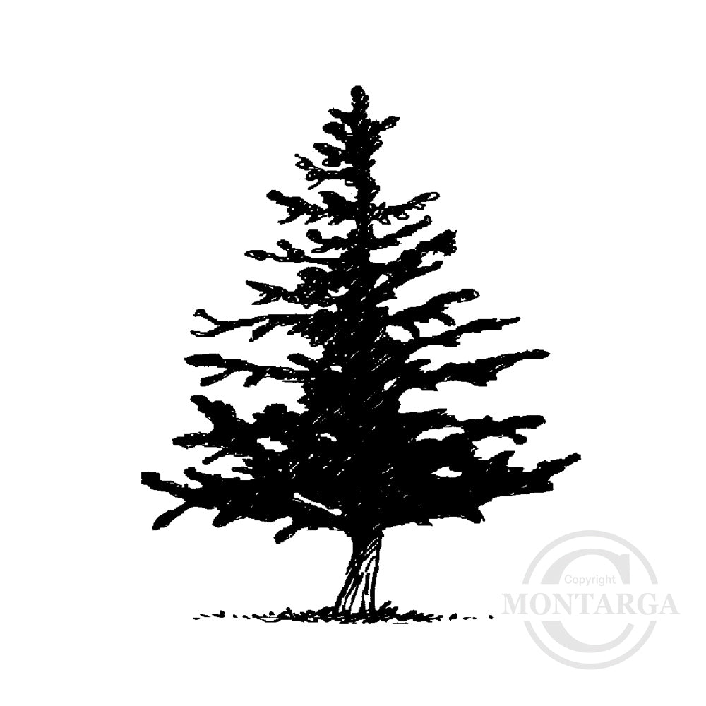 0929 A or F - Pine Tree Rubber Stamp