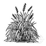 0938 C or F - Flax Bush Rubber Stamp