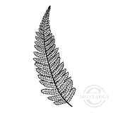 0943 B or FF - Fern Rubber Stamp