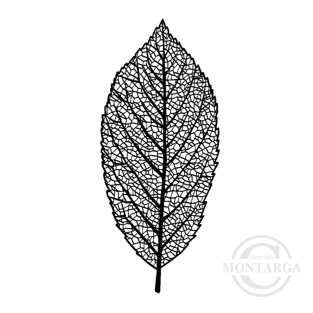 0963 E - Leaf Rubber Stamp