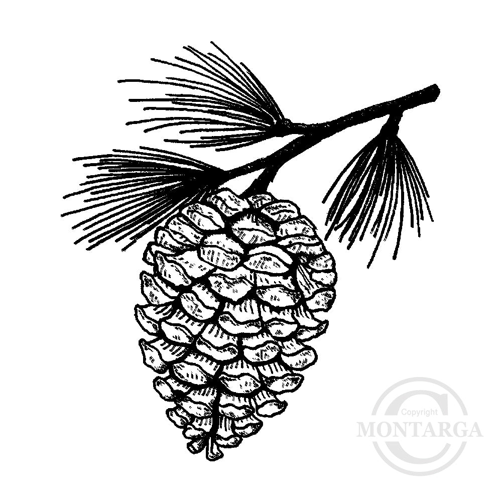 0977 C - Pinecone  Rubber Stamp
