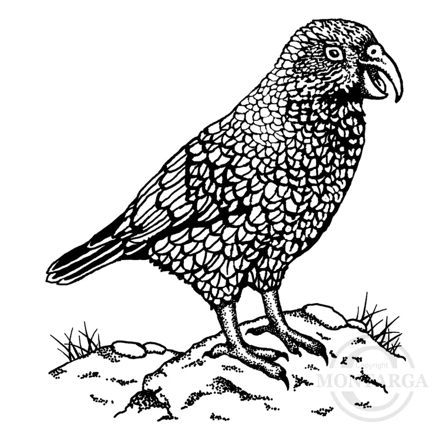 1389 G - Kea on Rocks Rubber Stamp