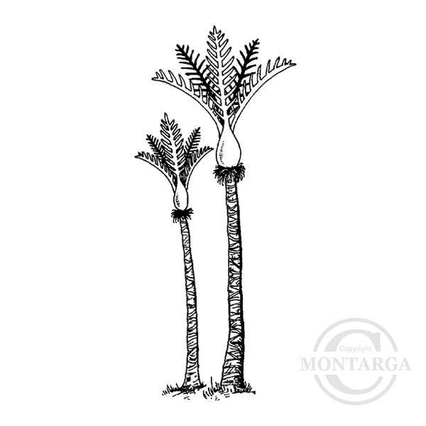 1962 B or FF Nikau Palm Tree Rubber Stamp Rubber Stamps by Montarga