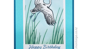 Latest Cards