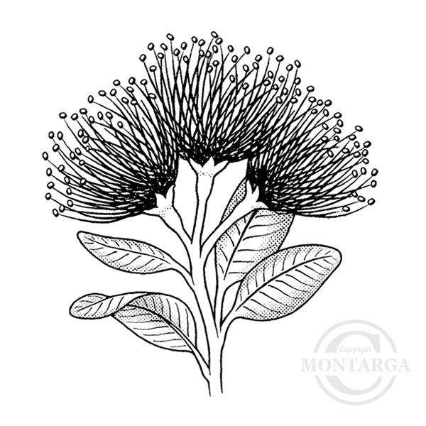 2404G - Pohutukawa  Rubber Stamp