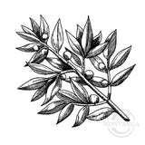3254 F - Olive Branch Rubber Stamp