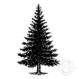 3297 G - Fir Pine Tree Rubber Stamps