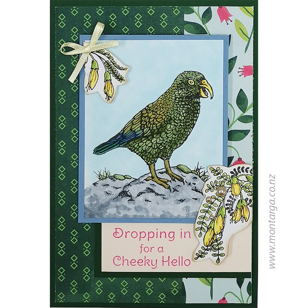 2553 B - Dropping in for a Cheeky Hello Wording Rubber Stamp