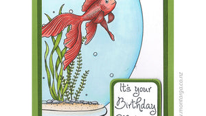 Latest Cards