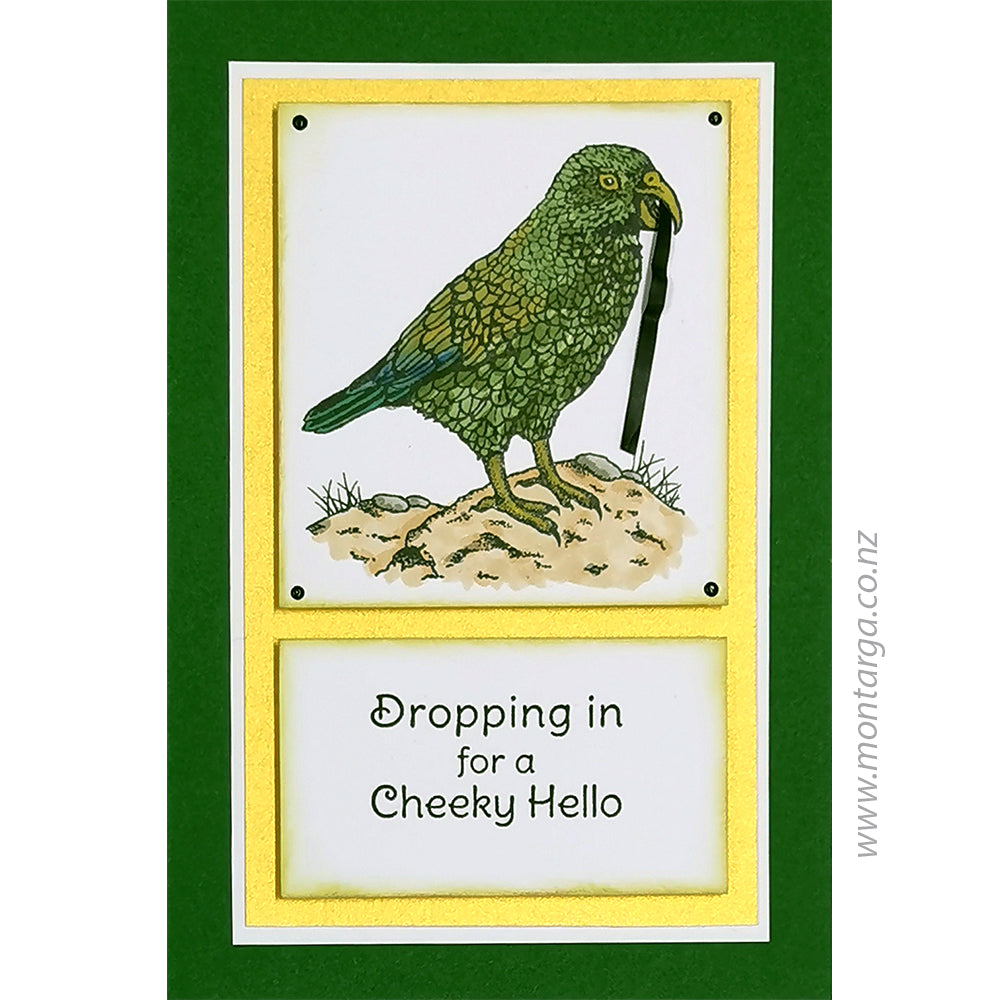 2553 B - Dropping in for a Cheeky Hello Wording Rubber Stamp