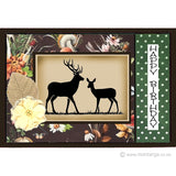 Creative Card Pack - Forest Backgrounds