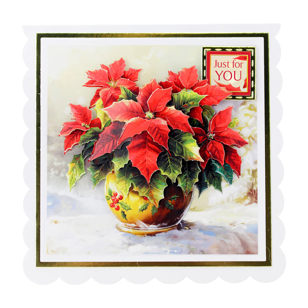 3D Push Out Sheet - Katy Sue - Potted Poinsettia - One Sheet