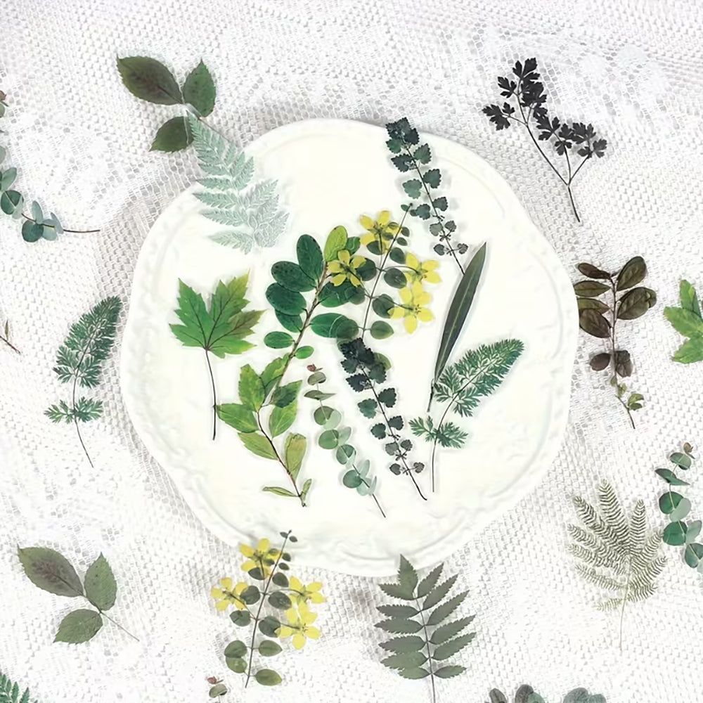 Montie's Craft Supplies Flower Stickers - Green Leaves