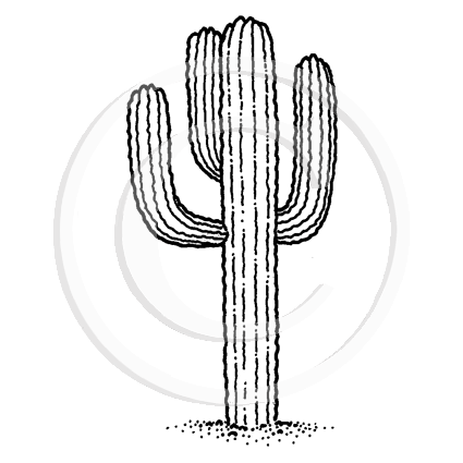 0601 B - Cactus Rubber  Stamp