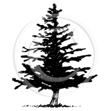 0929 A or F - Pine Tree Rubber Stamp