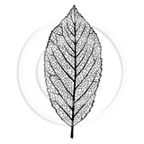 0963 E - Leaf Rubber Stamp