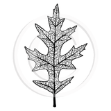 0964 E - Leaf Rubber Stamp