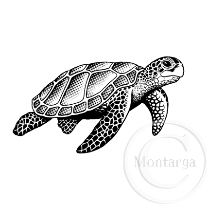 1496 E - Sea Turtle Rubber Stamp