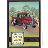 2733 C - You're Classic Wording Rubber Stamp